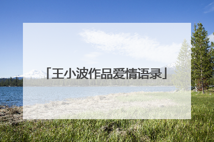 王小波作品爱情语录