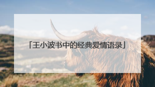 王小波书中的经典爱情语录