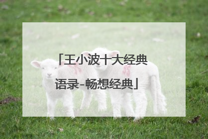 王小波十大经典语录-畅想经典