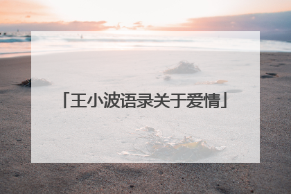 王小波语录关于爱情