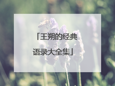 王朔的经典语录大全集