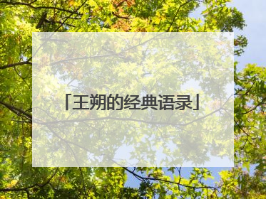 王朔的经典语录