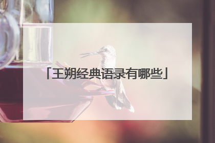 王朔经典语录有哪些