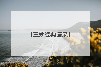 王朔经典语录
