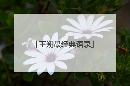 王朔最经典语录