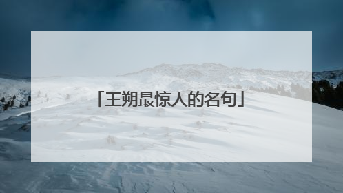 王朔最惊人的名句