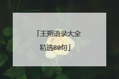 王朔语录大全精选80句