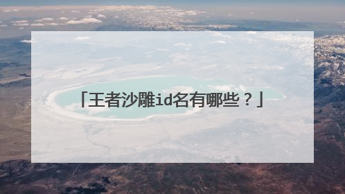 王者沙雕id名有哪些?