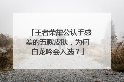 王者荣耀公认手感差的五款皮肤，为何白龙吟会入选？