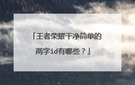 王者荣耀干净简单的两字id有哪些?