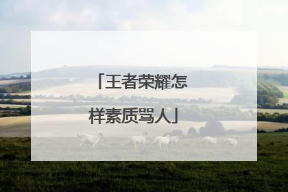 王者荣耀怎样素质骂人