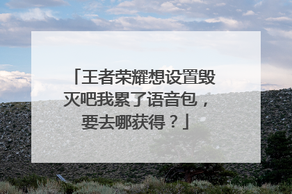 王者荣耀想设置毁灭吧我累了语音包,要去哪获得?