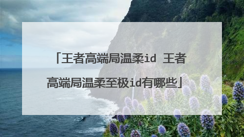 王者高端局温柔id 王者高端局温柔至极id有哪些