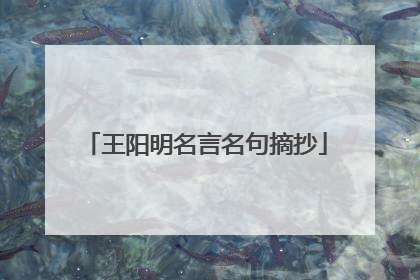王阳明名言名句摘抄