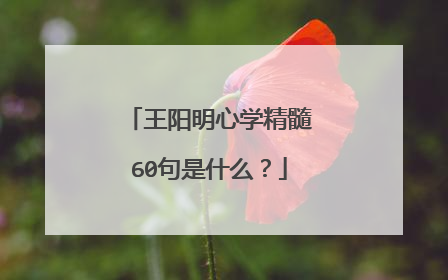 王阳明心学精髓60句是什么？