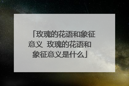 玫瑰的花语和象征意义 玫瑰的花语和象征意义是什么