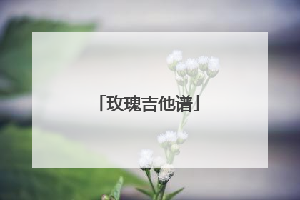 玫瑰吉他谱