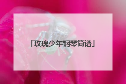 玫瑰少年钢琴简谱