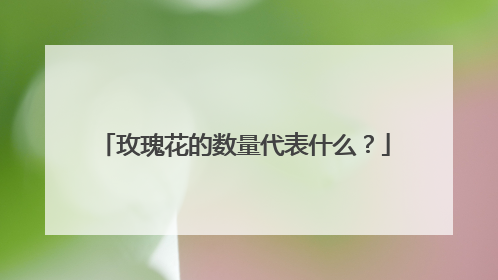 玫瑰花的数量代表什么？