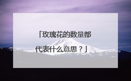 玫瑰花的数量都代表什么意思?