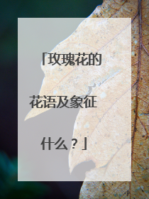 玫瑰花的花语及象征什么？
