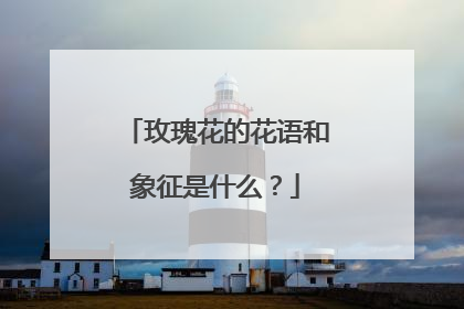 玫瑰花的花语和象征是什么?