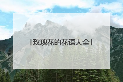 玫瑰花的花语大全