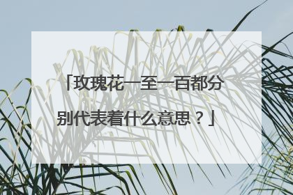玫瑰花一至一百都分别代表着什么意思？