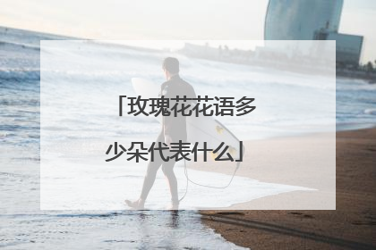 玫瑰花花语多少朵代表什么