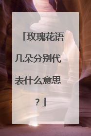 玫瑰花语几朵分别代表什么意思？
