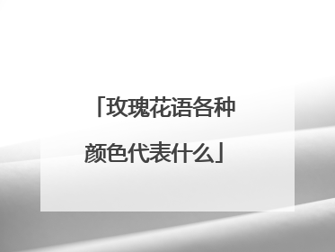 玫瑰花语各种颜色代表什么