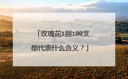 玫瑰花1到100支都代表什么含义？