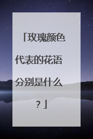 玫瑰颜色代表的花语分别是什么?