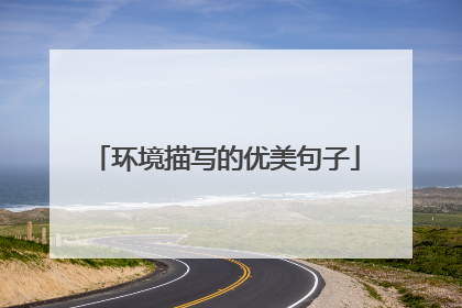 环境描写的优美句子