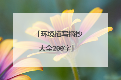 环境描写摘抄大全200字
