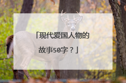现代爱国人物的故事50字?