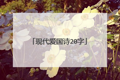 现代爱国诗20字