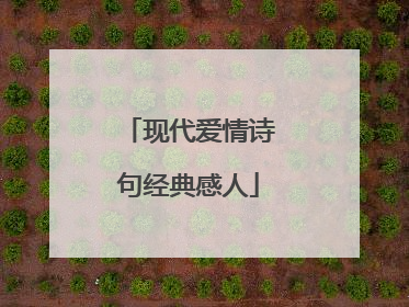 现代爱情诗句经典感人