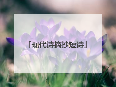 现代诗摘抄短诗