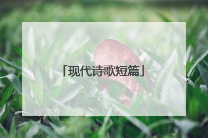 现代诗歌短篇