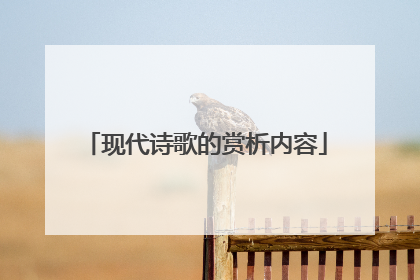 现代诗歌的赏析内容