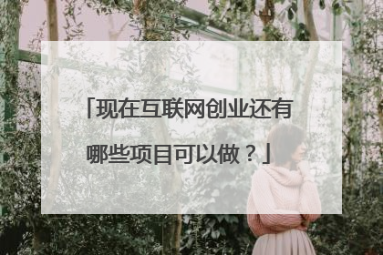 现在互联网创业还有哪些项目可以做?