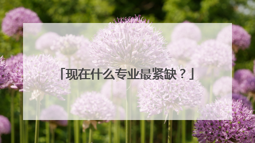 现在什么专业最紧缺？
