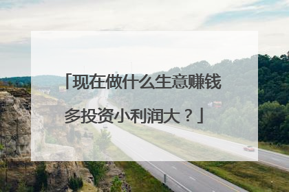 现在做什么生意赚钱多投资小利润大？