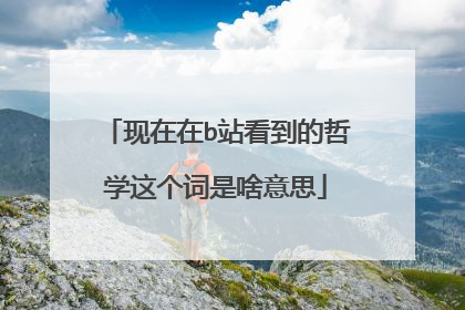 现在在b站看到的哲学这个词是啥意思