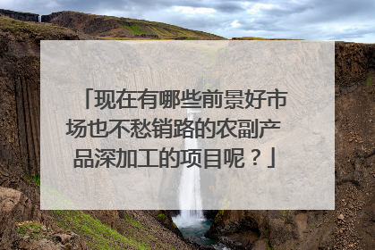 现在有哪些前景好市场也不愁销路的农副产品深加工的项目呢?