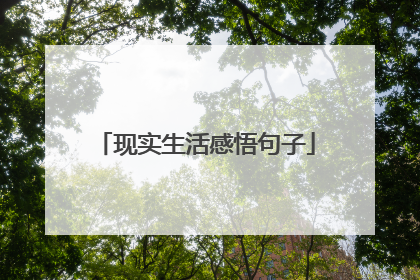 现实生活感悟句子