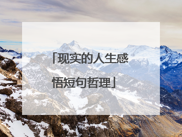 现实的人生感悟短句哲理