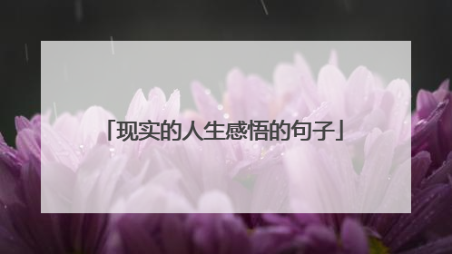 现实的人生感悟的句子