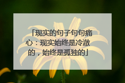 现实的句子句句痛心：现实始终是冷澈的，始终是孤独的